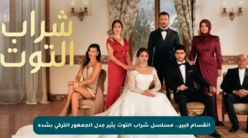 انقسام كبير.. مسلسل شراب التوت يثير جدل الجمهور التركي بشدة